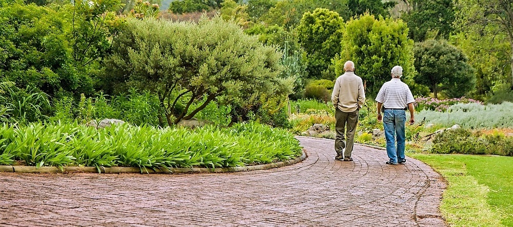 Two old men walking in a garden
